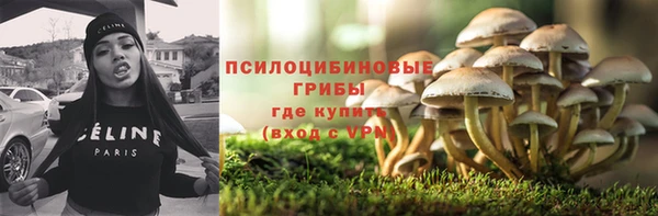 apvp Кулебаки