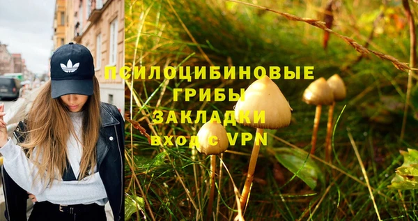 крисы Лабытнанги