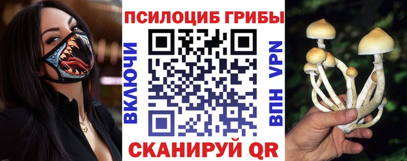Псилоцибиновые грибы прущие грибы  Фатеж 